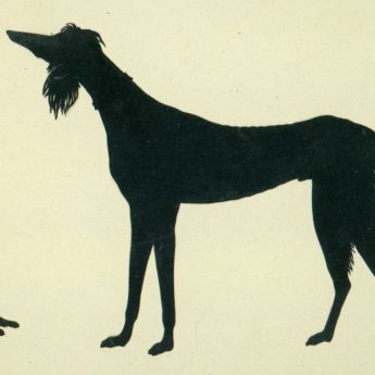 Cut silhouette of dogs by Edouart Augustin