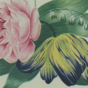 Botanical watercolour of spring flowers