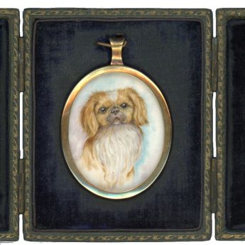 Miniature portrait of a pekingese dog in the original case