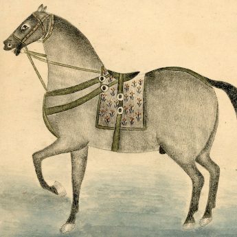 Mughal pen, ink and watercolour study of a horse
