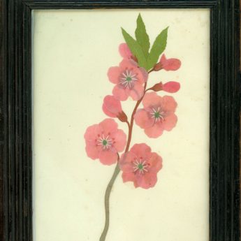 Cut paper flower picture in a reeded frame, early 19th century