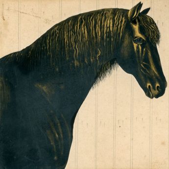 Cut and gilded silhouette of Toby, a bay horse cut by Mr Sharp in 1847