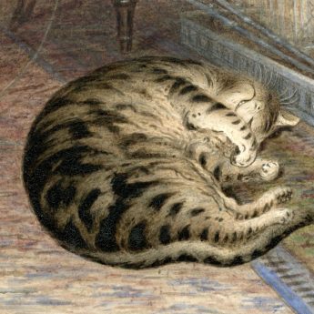 Watercolour of a tabby cat, 19th century