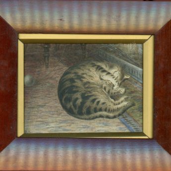 Watercolour of a tabby cat, 19th century