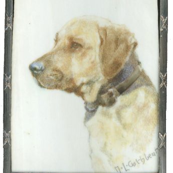 Miniature painting of a golden labrador by Margot Lindsay Cuthbert
