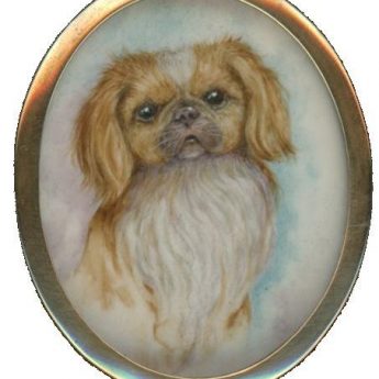 Miniature portrait of a pekingese dog in the original case