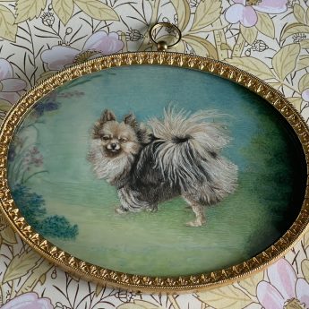 Miniature painting of a pomeranian dog