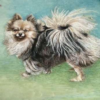 Miniature painting of a pomeranian dog
