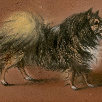 HB Chalon, pastel portrait of a dog dated 1795