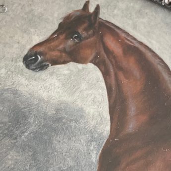 Unusual miniature portrait of a thoroughbred horse