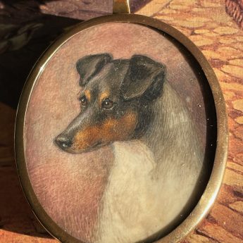 Unsigned miniature portrait of a terrier