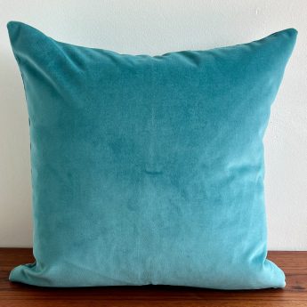 Chrysanthemum turquoise