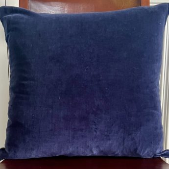 Chrysanthemum purple