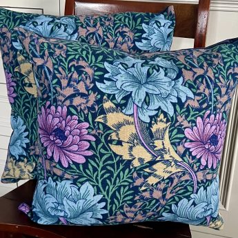 Chrysanthemum purple